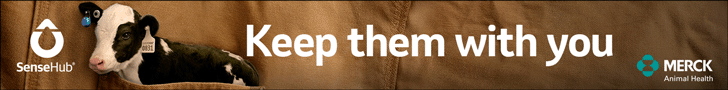Leaderboard Ad