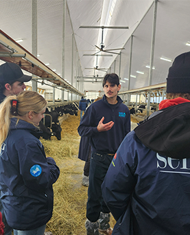 Partnering to support youth development with 4-H Ontario