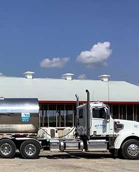 Securing the milk supply chain