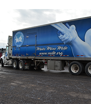 Bulk tank calibration Considerations for  Automated Milk System  (AMS) farms 