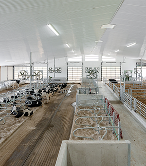 Introducing the  dairy modernization initiative