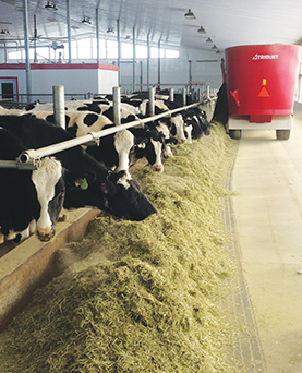 Laying the right foundation for optimal lactation