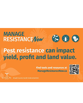Rootworm resistance:  What dairy farmers need to know