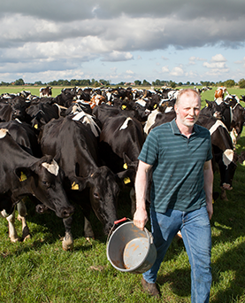 Germany dairy farming advocate keeps consumers connected on social media
